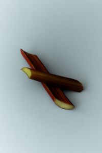 Kaboompics - Rhubarb Stalk Detail on Blue Background