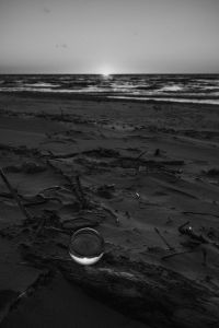 Kaboompics - Black and White Glass Sphere on Driftwood Beach