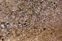 Kaboompics - Sunlit Wet Pebble Shore with Reflective Coastal Water Texture