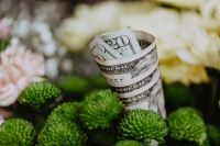 Kaboompics - Rolled US Dollar Banknotes among Green Flowers, Botanical Finance Still Life