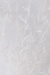 Kaboompics - Plain Warm Beige Gradient Background for Neutral Minimalist Design