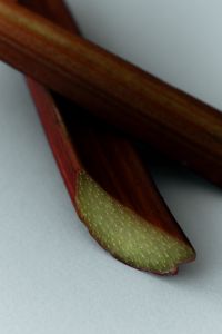 Kaboompics - Rhubarb Stalks Close Up on Blue Background