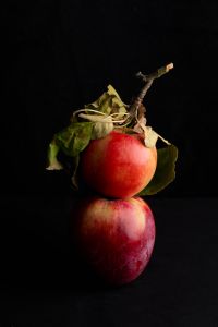 Kaboompics - Red Apple With Dry Leaves Reflected on Black Surface