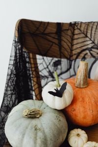 Kaboompics - White Pumpkin with Bat Among Halloween Pumpkins