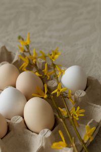 Kaboompics - Easter Eggs and Yellow Flowers in Egg Carton