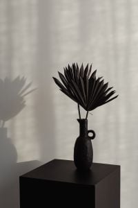 Dried Black Palm Leaves for Moody Backgrounds, Minimalist Still Life and Neutral Home Decor