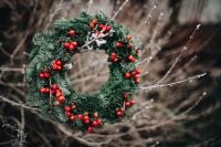 Kaboompics - Fresh Holly Berry Wreath on Bare Winter Branches