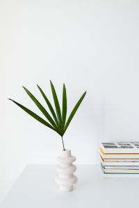 Kaboompics - Stack of Design Books beside a Palm Frond in White Vase