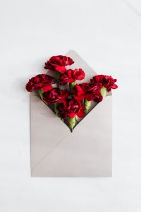 Kaboompics - Open Envelope Filled with Red Carnations on White Background