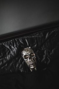 Kaboompics - Silver Skull on Black Velvet with Large Dark Copy Space