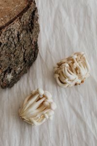Kaboompics - White Mushrooms with Jewelry on Wrinkled White Fabric