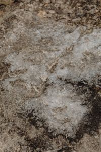 Kaboompics - Mottled Beige Stone Surface with Dark Erosion Patterns