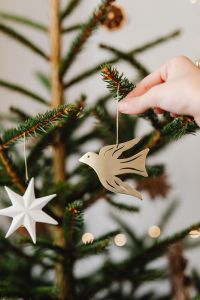 Kaboompics - Hand Holding Wooden Bird Ornament beside White Star