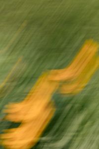 Kaboompics - Orange Flower Streaks in a Green Garden Blur