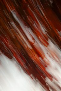 Kaboompics - Red Leaves ICM Abstract Background