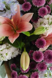 Kaboompics - Close-Up Pink Lily with Purple Chrysanthemums and White Flowers