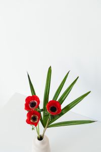 Kaboompics - Portrait of Red Poppies and Palm Leaves in a White Vase