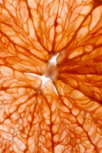 Kaboompics - Macro Grapefruit Slice in Backlight