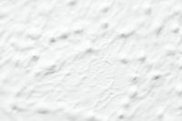 Kaboompics - Soft White Plaster Texture with Diffuse Gray Brush Streaks, Abstract Neutral Background