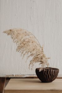 Neutral Home Decor Still Life with a Sculptural Brown Vase and Pampas Grass