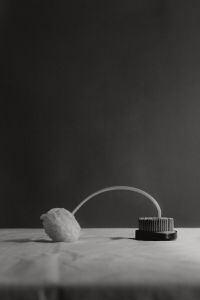 Kaboompics - Black and White Minimal Floral Still Life