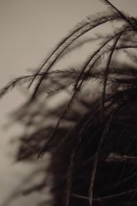 Kaboompics - Black Fuzzy Textile Fibers in Close-Up
