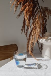 Kaboompics - Glass of Water Beneath Dried Pampas Grass, Neutral Still Life for Home Decor