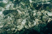 Kaboompics - Underwater School of Fish above Rocky Seabed