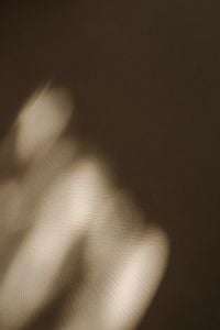 Kaboompics - Sunlight and Soft Shadows on a Warm Beige Wall, Minimal Interior Background