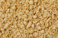 Kaboompics - Full-Frame Conchiglie Shell Pasta, Close-Up Texture for Italian Food Content