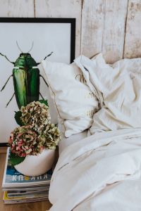 Kaboompics - White bed sheets with a picture of a green beetle and a pot plant on a stack of magazines