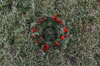 Kaboompics - Christmas Wreath with Red Berries against Evergreen Foliage