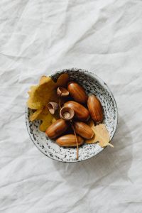 Kaboompics - Bowl of Acorns and Oak Leaves on White Linen