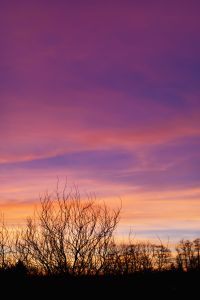 Kaboompics - Golden Sunset Horizon in Poland