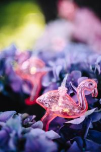 Kaboompics - Flamingo light garland & pink flowers