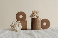Kaboompics - Minimal Mushroom Still Life with Brown Decorative Discs