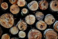 Kaboompics - Wooden logs