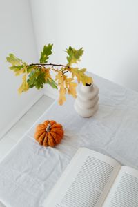 Kaboompics - Open Book with Orange Pumpkin and Oak Branch on White Table