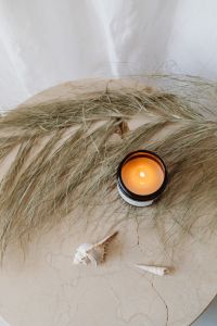 Kaboompics - Top View Lit Amber Candle with Dried Smoke Bush and Seashells