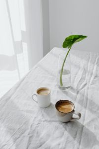 Kaboompics - Two Coffee Cups and Green Houseplant on White Linen