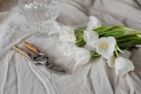 Kaboompics - Close-Up White Tulips and Pruning Shears on Textured Neutral Fabric