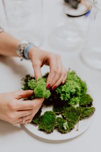 Kaboompics - Close-Up Hands Positioning Green Moss Pieces for a Miniature Terrarium Garden