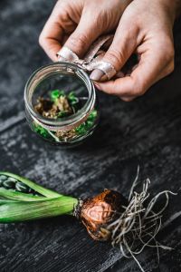 Kaboompics - Woman making a little ornamental seedling in a small jar