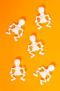 Kaboompics - Four Mini Skeletons Flat Lay