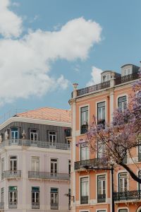 Kaboompics - Peach and Gray Historic Facades beneath Jacaranda Blossoms and Blue Sky