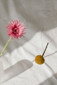 Kaboompics - Minimal Floral Composition on White Fabric