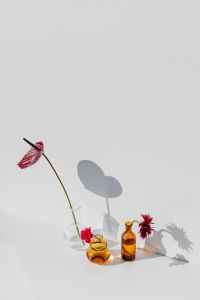 Kaboompics - Cut Flowers and Petite Glass Bud Vases Arranged as a Bright White Tabletop Still Life