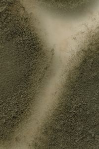Kaboompics - Pale Agar Channel Between Green Mold Colonies