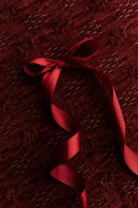 Kaboompics - Red Gift Box with Burgundy Bow on Textured Background