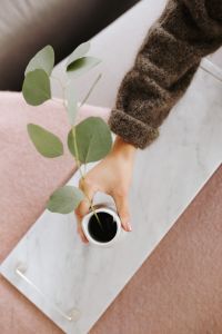 Kaboompics - White marble tray with vase with eucalyptus branch